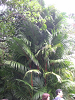 s_A_PICT0097_thumb.png